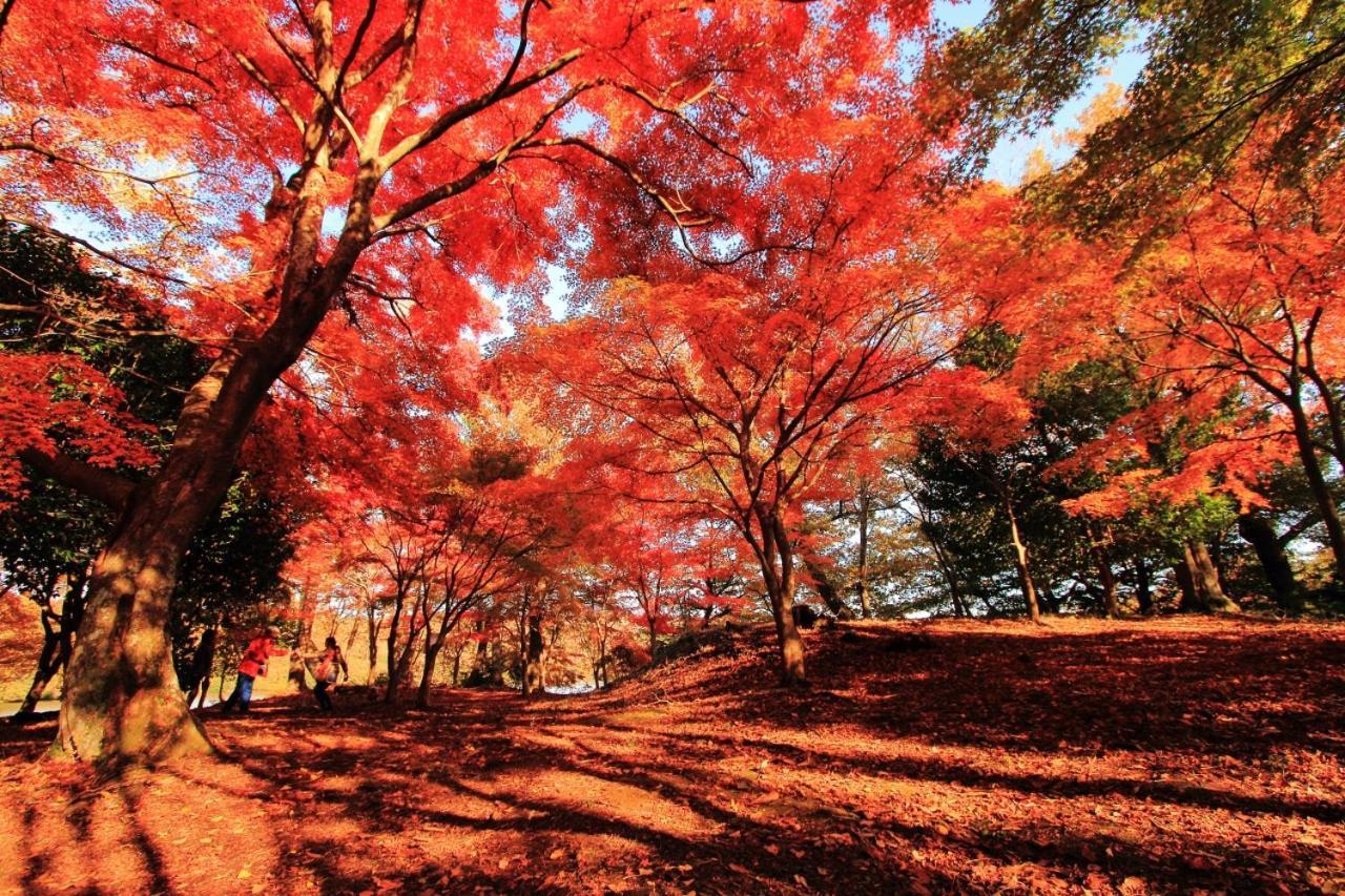 伊豆高原 温泉付別荘 Isana Mountain Villa Futo 외부 사진