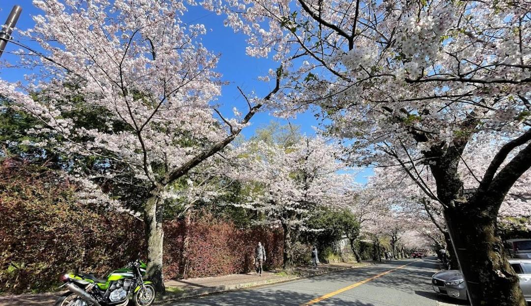 伊豆高原 温泉付別荘 Isana Mountain Villa Futo 외부 사진
