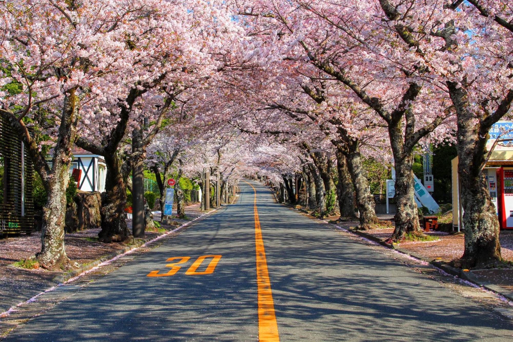伊豆高原 温泉付別荘 Isana Mountain Villa Futo 외부 사진